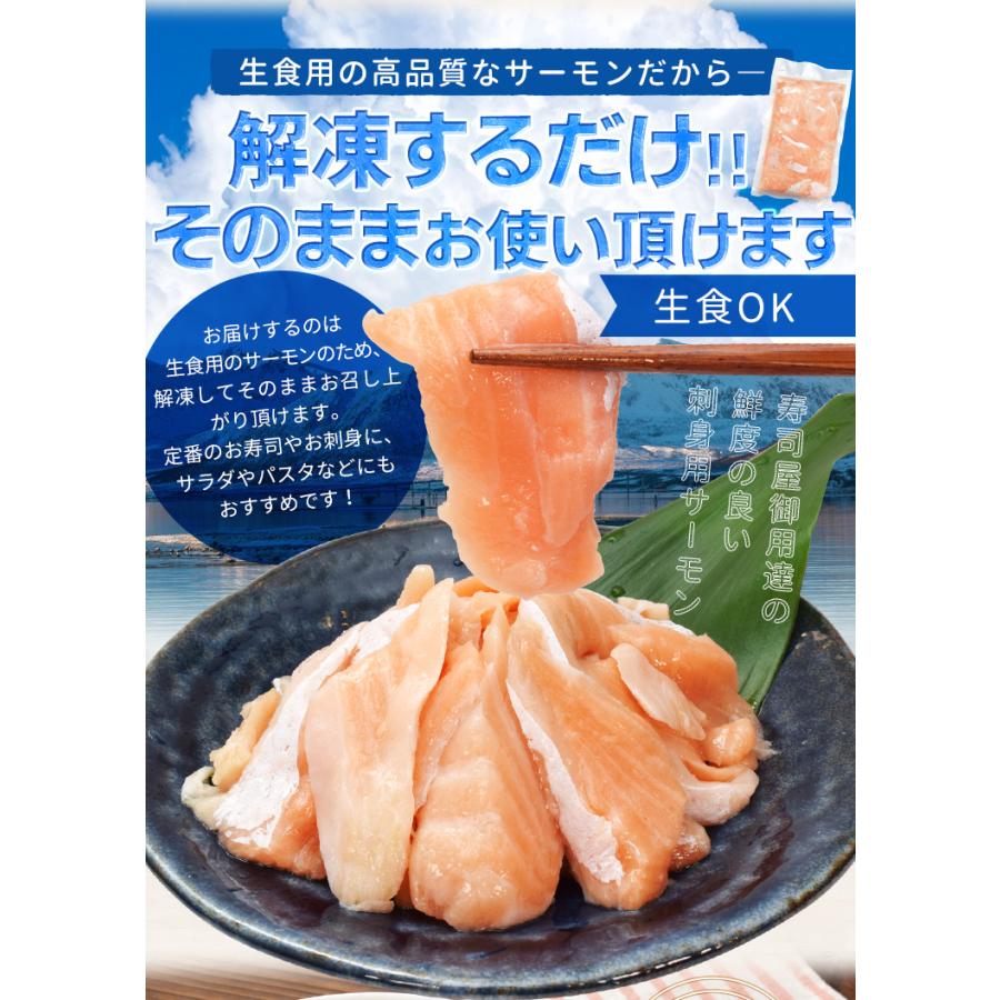 サーモン ハラス 切り落とし 刺身用 生・炙りどちらか選べる １ｋｇ（５００ｇ×２パック）サイズ不揃い トロ 生食 送料無料 冷凍 | ブランド登録なし | 08
