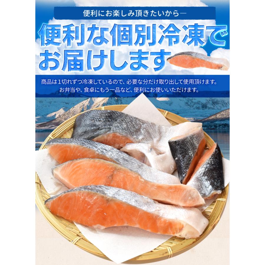 鮭 訳あり 銀鮭 端材 切り身 カマ １．６ｋｇ（８００ｇ×２袋） 切り落とし 定塩 甘口 冷凍｜isesima｜08