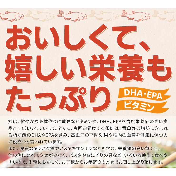 鮭 訳あり 銀鮭 端材 切り身 カマ １．６ｋｇ（８００ｇ×２袋） 切り落とし 定塩 甘口 冷凍｜isesima｜09