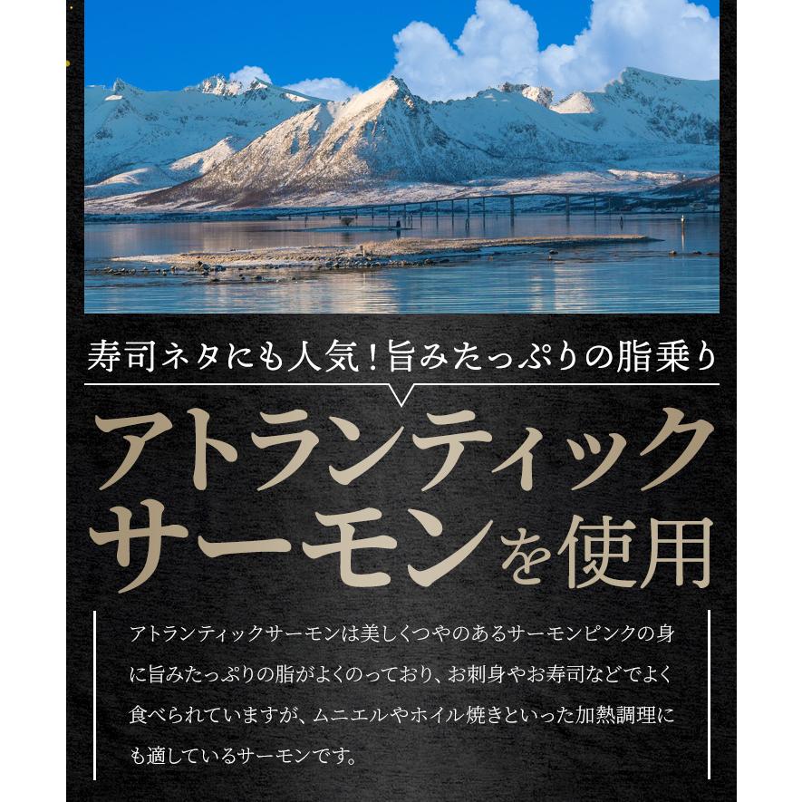 サーモン ブロック 刺身 小分け 生 炙り 選べる ４００ｇ（２００ｇ×２枚） 柵どり 骨取り済み 生食 冷凍 プレゼント ギフト | ブランド登録なし | 02