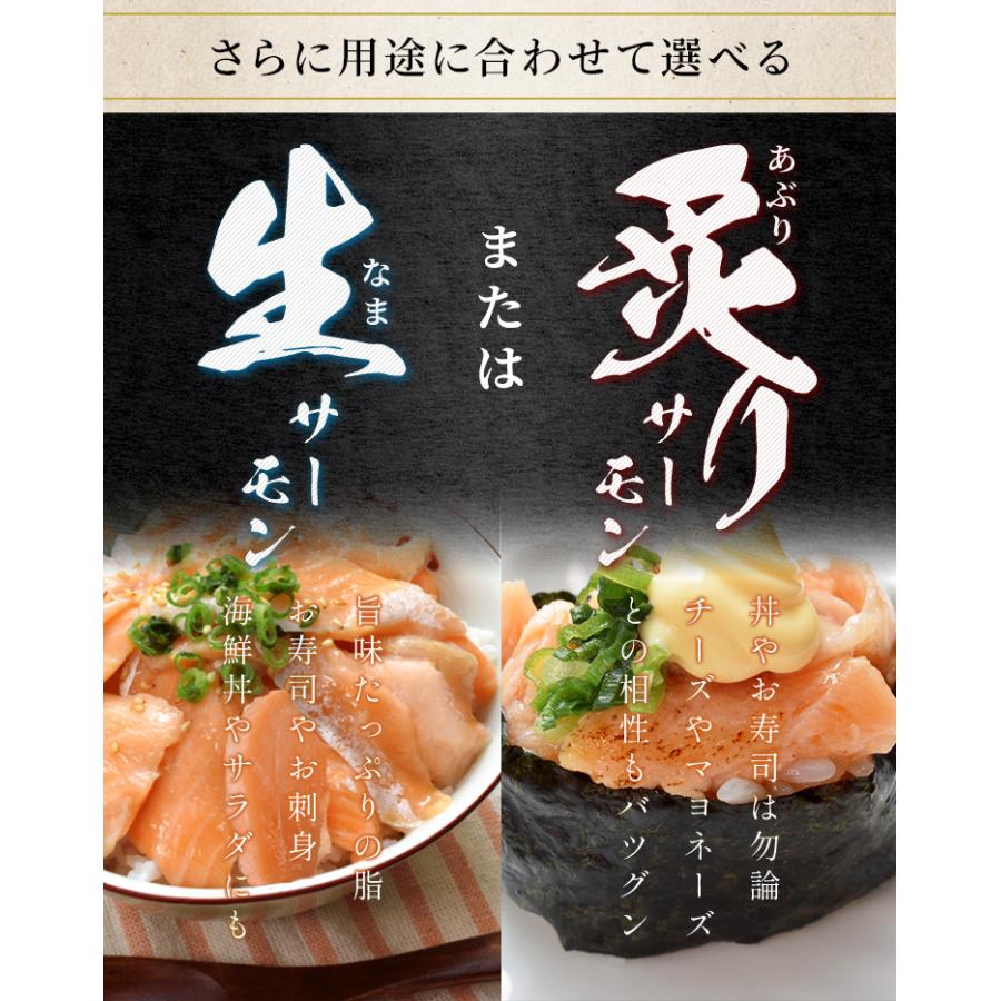 サーモン ブロック 刺身 小分け 生 炙り 選べる ４００ｇ（２００ｇ×２枚） 柵どり 骨取り済み 生食 冷凍 プレゼント ギフト | ブランド登録なし | 08