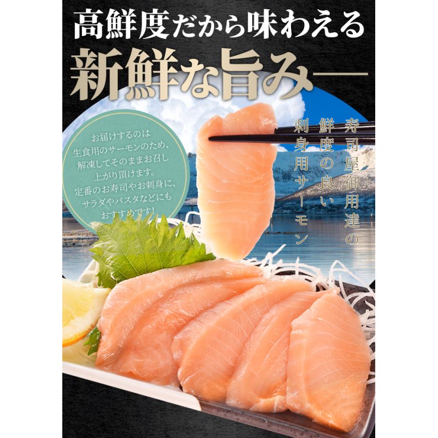 サーモン ブロック 刺身 小分け 生 炙り 選べる 600g（200g×3