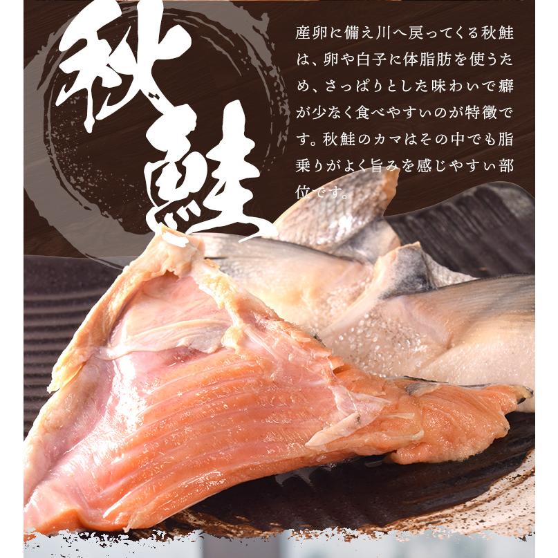 鮭 カマ ５００ｇ 北海道産 国産 サケ 秋鮭 定塩秋鮭 甘塩 冷凍 切り身 | ブランド登録なし | 06