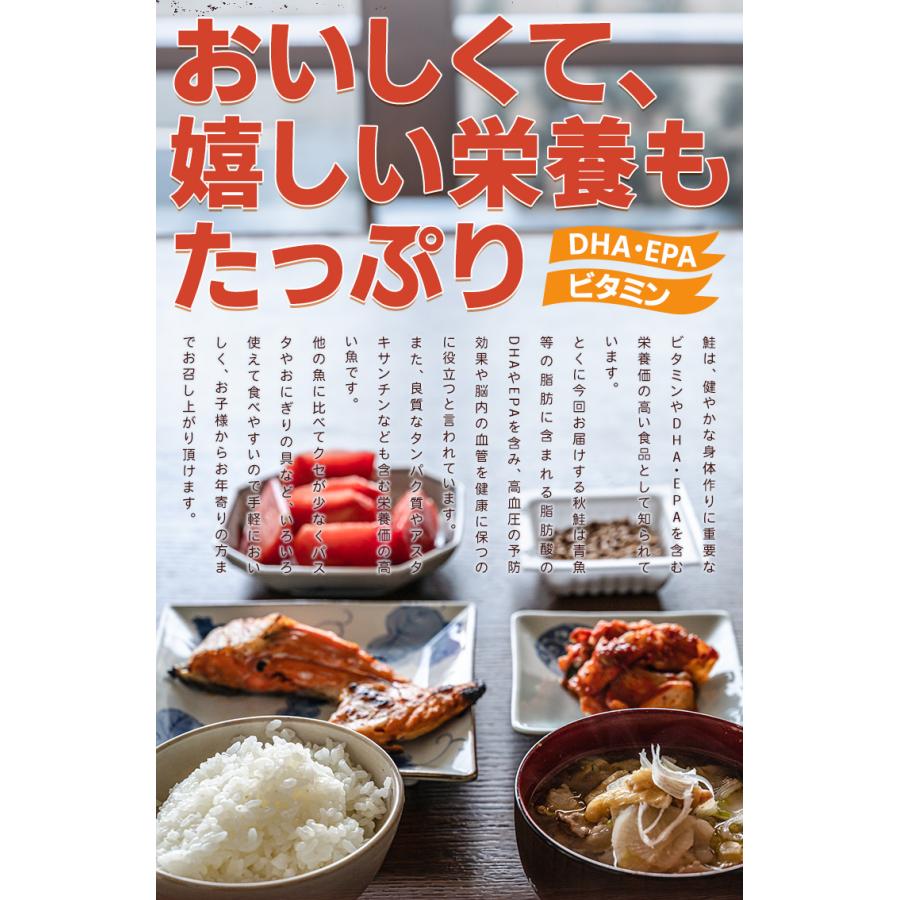 鮭 カマ ５００ｇ 北海道産 国産 サケ 秋鮭 定塩秋鮭 甘塩 冷凍 切り身 | ブランド登録なし | 07