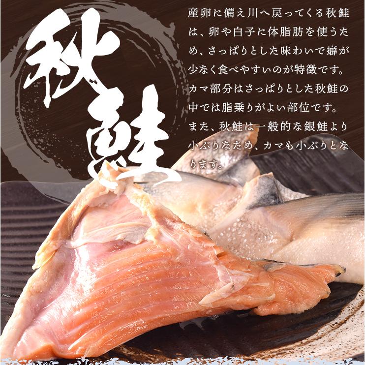 鮭 カマ １ｋｇ（５００ｇ×２袋） 北海道産 国産 サケ 秋鮭 定塩秋鮭 甘塩 冷凍 切り身 | ブランド登録なし | 05