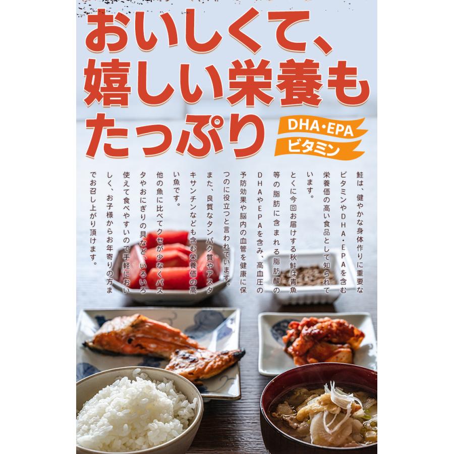 鮭 カマ １ｋｇ（５００ｇ×２袋） 北海道産 国産 サケ 秋鮭 定塩秋鮭 甘塩 冷凍 切り身 | ブランド登録なし | 06