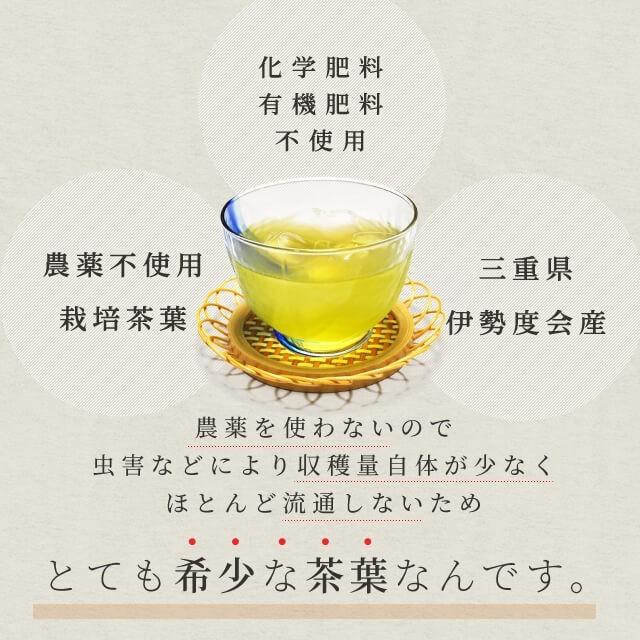 伊勢茶 煎茶200g（100g×2個） お茶 無農薬 日本茶 三重