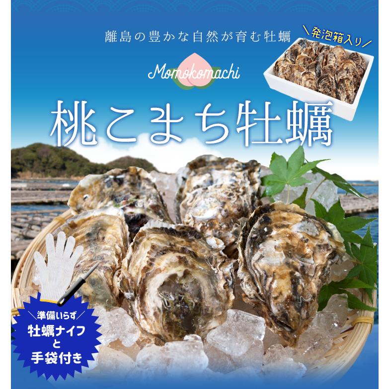 牡蠣 桃こまち ５０個 殻付き牡蠣 （牡蠣ナイフ・片手用軍手付き）発泡箱入 三重県鳥羽産（加熱用） ギフト｜isesima｜02