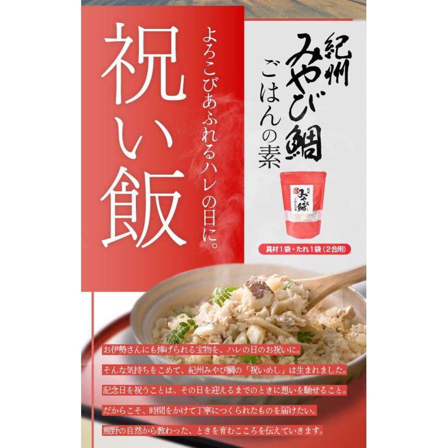 鯛 ごはんの素 鯛めし 2合用 2個 お土産 炊き込みご飯の素 紀州みやび鯛使用 伊勢神宮奉納品 祝い飯 ギフト 伊勢鳥羽志摩特産横丁 