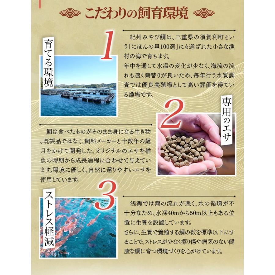 鯛 ごはんの素 鯛めし 2合用 2個 お土産 炊き込みご飯の素 紀州みやび鯛使用 伊勢神宮奉納品 祝い飯 ギフト 伊勢鳥羽志摩特産横丁 