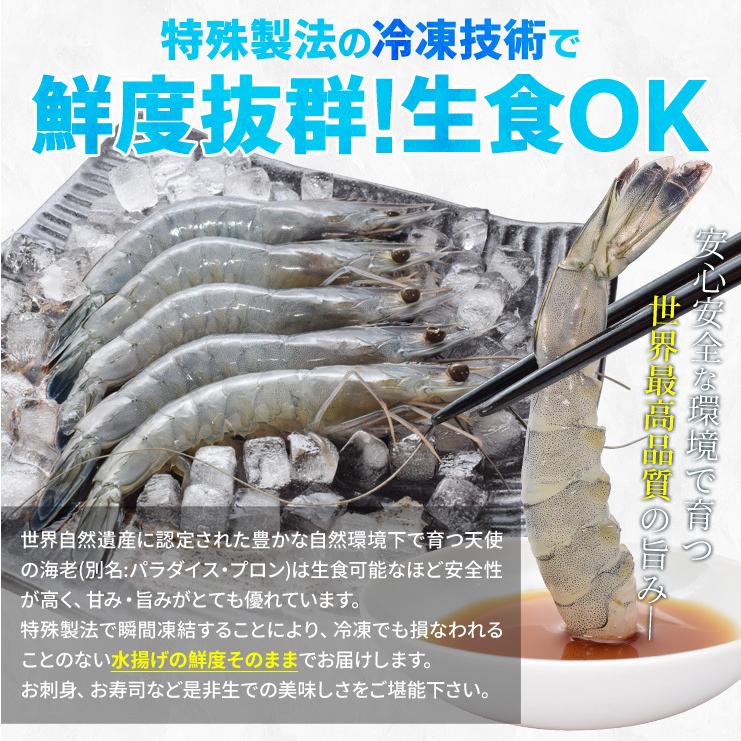 天使の海老 中サイズ 1kg(40〜50尾入り) 送料無料 海老 刺身 生食 冷凍 大容量 パラダイス プロン :tensiebi0101:伊勢鳥羽志摩特産横丁 - 通販 - Yahoo!ショッピング 天使の海老 中サイズ 1kg(40〜50尾入り) 送料無料 海老 刺身 生食 冷凍 大容量 パラダイス プロン :tensiebi0101:伊勢鳥羽志摩特産横丁 - 通販 - Yahoo!ショッピング