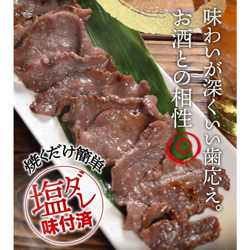 おつまみ 牛タン スライス ５００ｇ タン先 タン塩 塩味付 送料無料 大容量 おつまみ 焼肉 BBQ バーベキュー | ブランド登録なし | 09