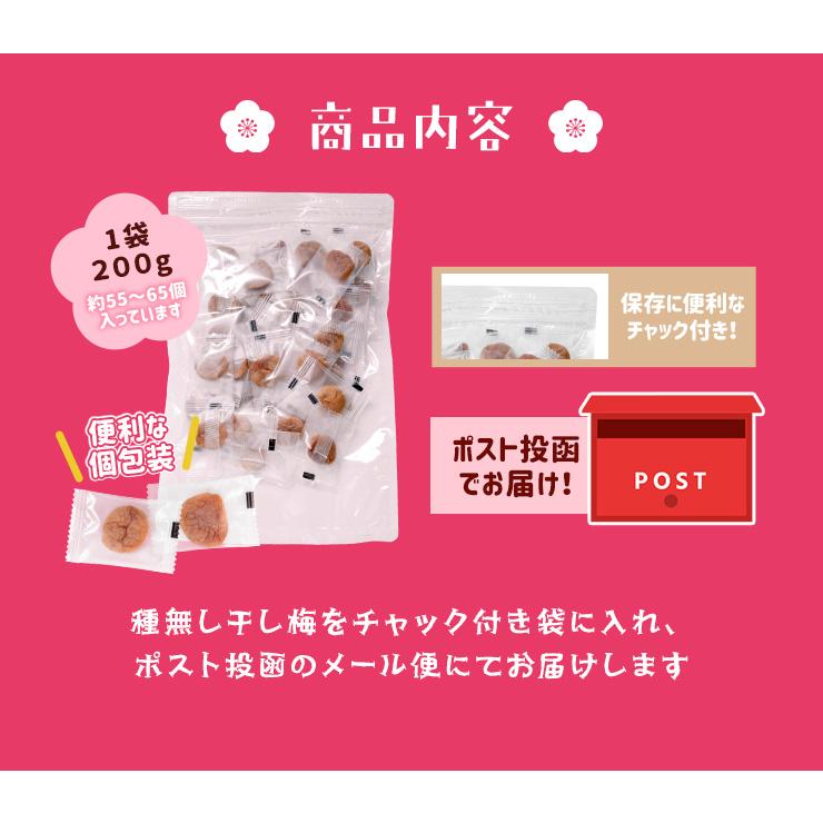 干し梅 種無し ４００ｇ（２００ｇ×２個） 個包装（約１１０〜１３０個入）梅 梅干し おつまみ 肉厚 塩分補給 | ブランド登録なし | 10