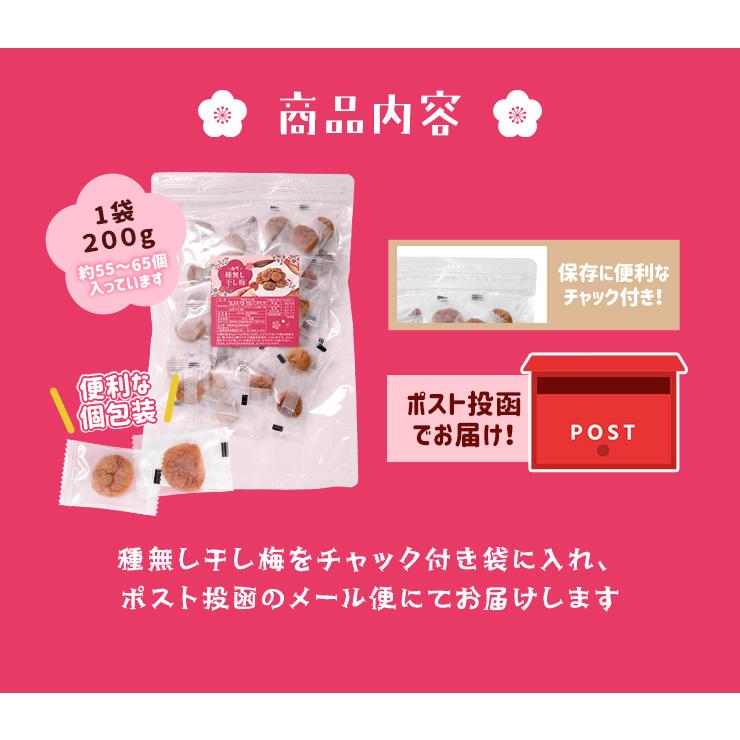 干し梅 種無し ４００ｇ（２００ｇ×２個） 個包装（約１１０〜１３０個入）梅 梅干し おつまみ 肉厚 塩分補給 | ブランド登録なし | 10