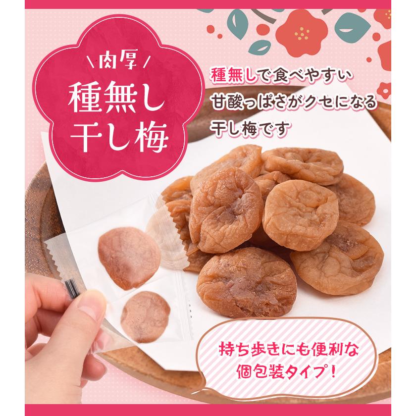 干し梅 種無し ４００ｇ（２００ｇ×２個） 個包装（約１１０〜１３０個入）梅 梅干し おつまみ 肉厚 塩分補給 | ブランド登録なし | 01