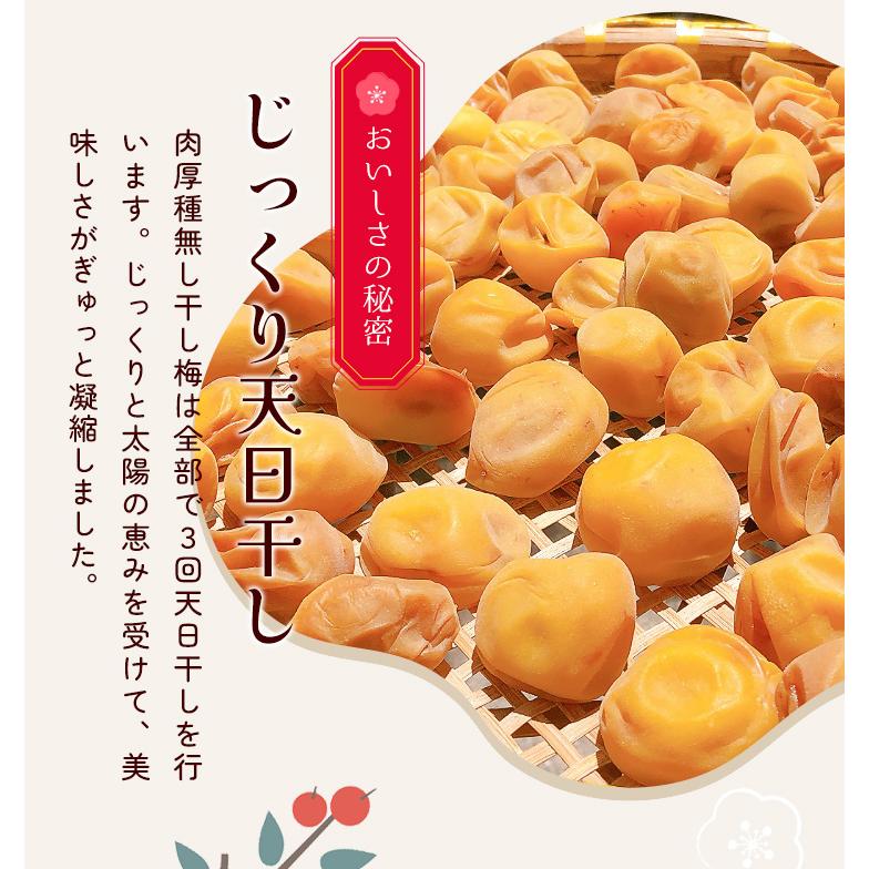 干し梅 種無し ４００ｇ（２００ｇ×２個） 個包装（約１１０〜１３０個入）梅 梅干し おつまみ 肉厚 塩分補給 | ブランド登録なし | 03