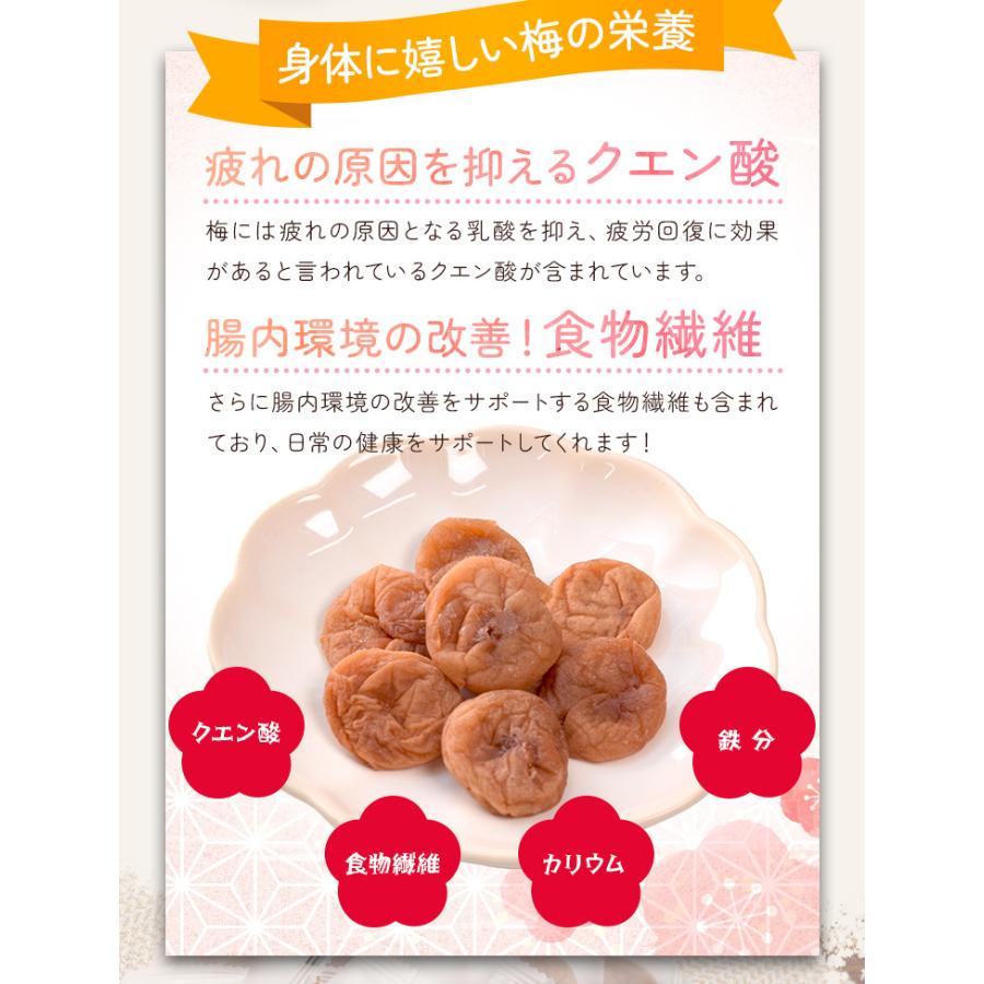 干し梅 種無し ４００ｇ（２００ｇ×２個） 個包装（約１１０〜１３０個入）梅 梅干し おつまみ 肉厚 塩分補給 | ブランド登録なし | 06