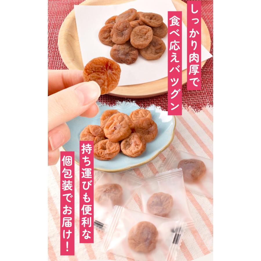 干し梅 種無し ４００ｇ（２００ｇ×２個） 個包装（約１１０〜１３０個入）梅 梅干し おつまみ 肉厚 塩分補給 | ブランド登録なし | 08