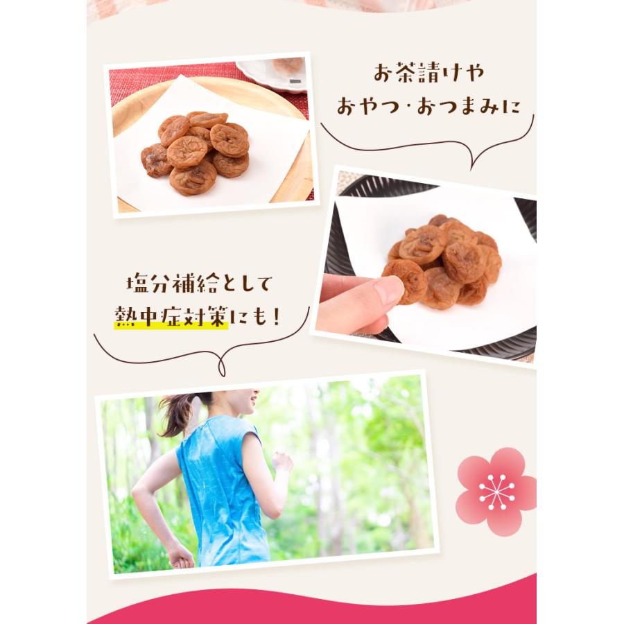 干し梅 種無し ４００ｇ（２００ｇ×２個） 個包装（約１１０〜１３０個入）梅 梅干し おつまみ 肉厚 塩分補給 | ブランド登録なし | 09