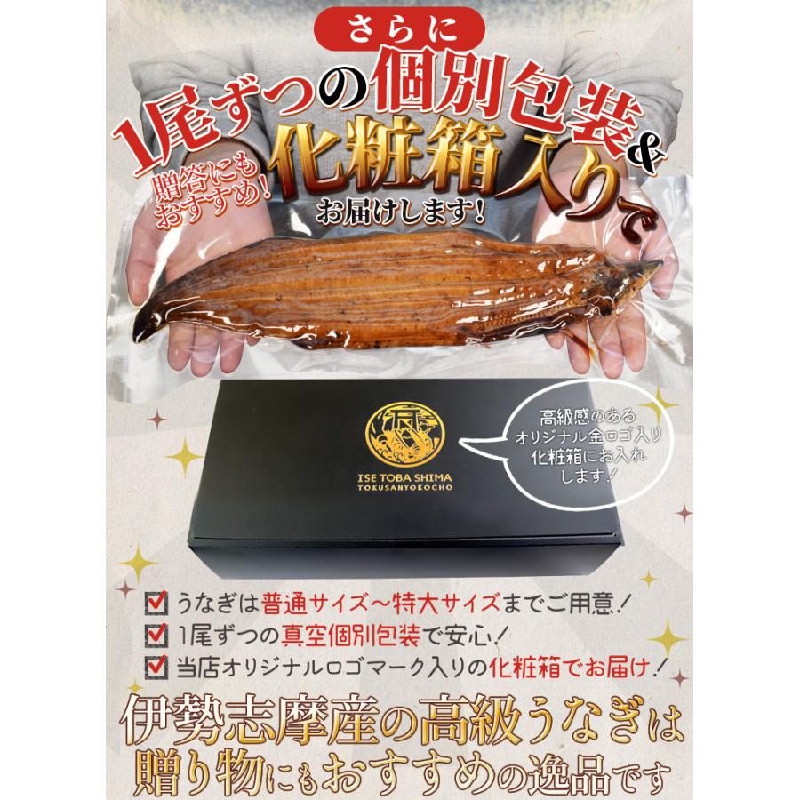 うなぎ 伊勢志摩産 たれ 特大サイズ １尾 たれ付 送料無料 国産 ウナギ 鰻 蒲焼き 丑の日 個包装 冷凍 化粧箱入 プレゼント ギフト | ブランド登録なし | 10