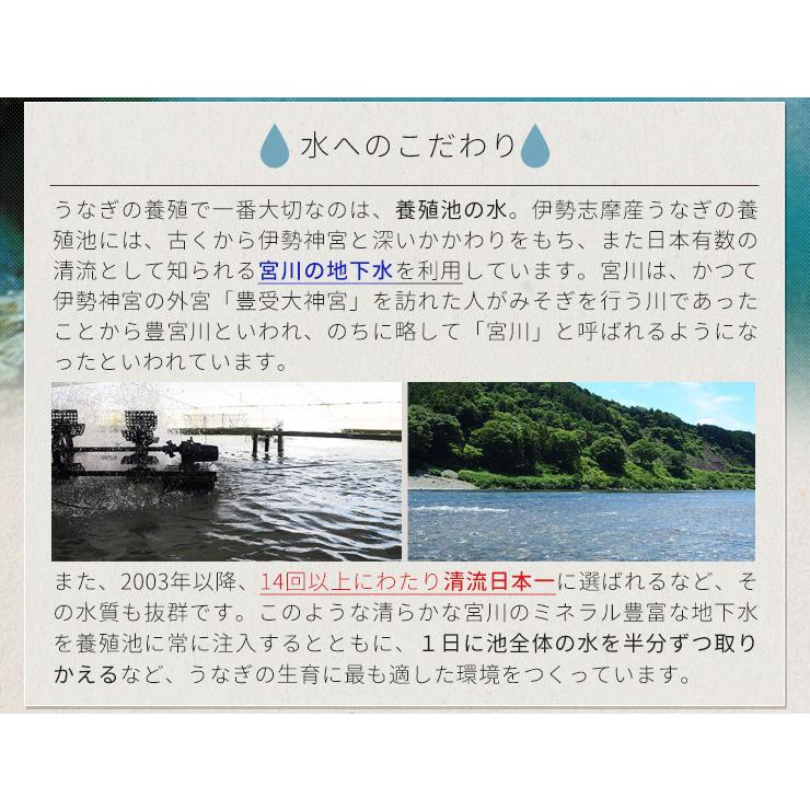 うなぎ 伊勢志摩産 たれ 特大サイズ １尾 たれ付 送料無料 国産 ウナギ 鰻 蒲焼き 丑の日 個包装 冷凍 化粧箱入 プレゼント ギフト | ブランド登録なし | 04