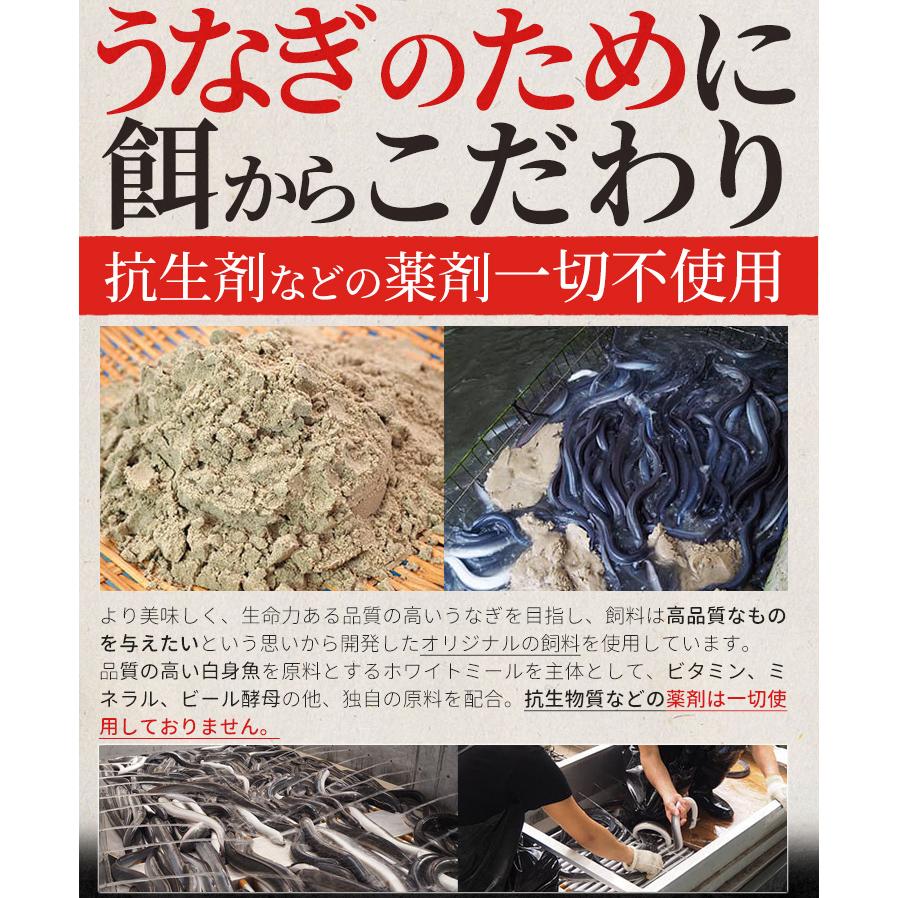 うなぎ 伊勢志摩産 たれ 特大サイズ １尾 たれ付 送料無料 国産 ウナギ 鰻 蒲焼き 丑の日 個包装 冷凍 化粧箱入 プレゼント ギフト | ブランド登録なし | 05