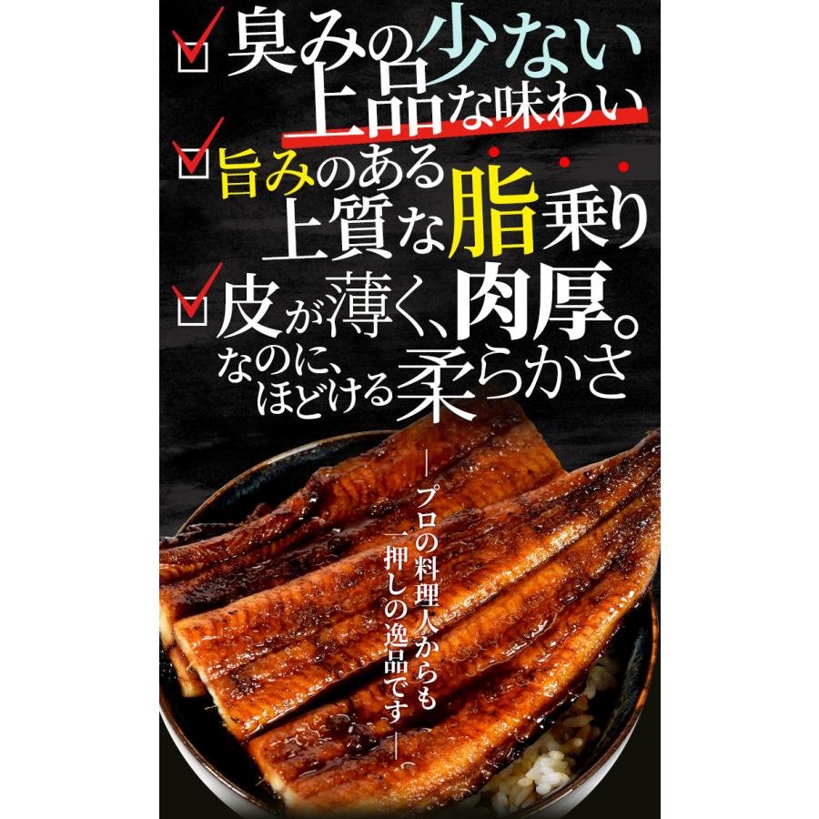 うなぎ 伊勢志摩産 たれ 特大サイズ １尾 たれ付 送料無料 国産 ウナギ 鰻 蒲焼き 丑の日 個包装 冷凍 化粧箱入 プレゼント ギフト | ブランド登録なし | 07