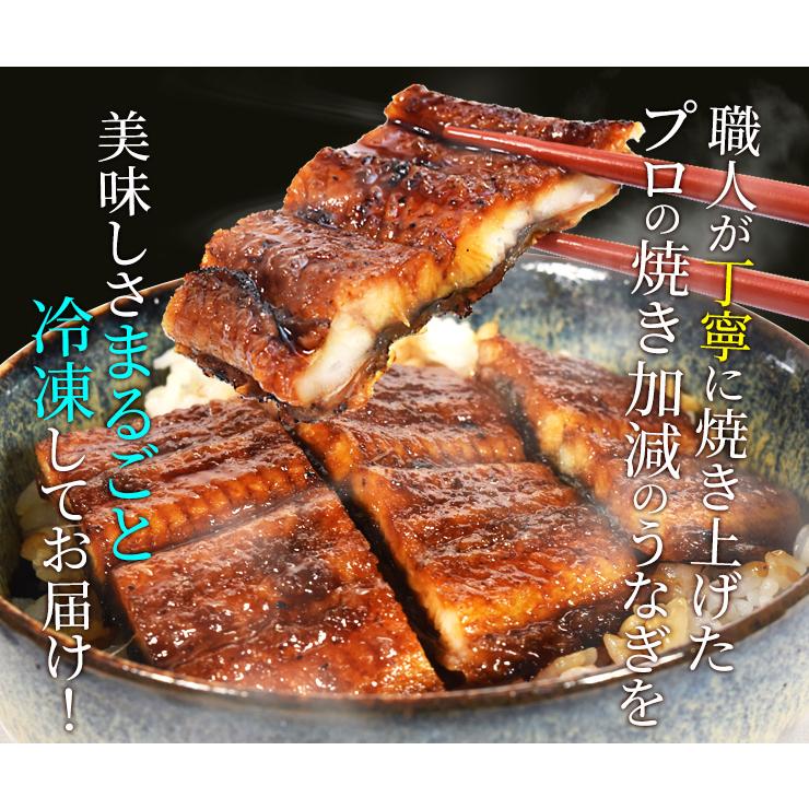 うなぎ 伊勢志摩産 たれ 特大サイズ １尾 たれ付 送料無料 国産 ウナギ 鰻 蒲焼き 丑の日 個包装 冷凍 化粧箱入 プレゼント ギフト | ブランド登録なし | 09
