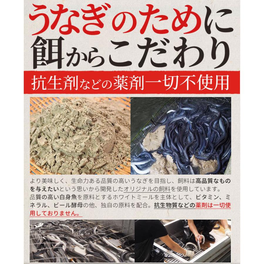 うなぎ 伊勢志摩産 白焼き 大サイズ ４尾 送料無料 国産 ウナギ 鰻 蒲焼き 丑の日 個包装 冷凍 化粧箱入 プレゼント ギフト_5