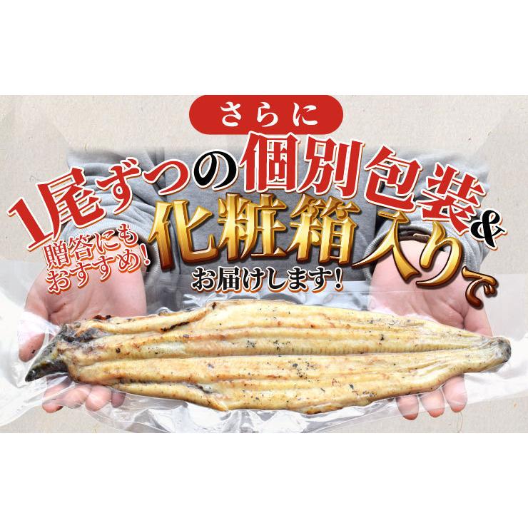 うなぎ 伊勢志摩産 白焼き 大サイズ ４尾 送料無料 国産 ウナギ 鰻 蒲焼き 丑の日 個包装 冷凍 化粧箱入 プレゼント ギフト_9