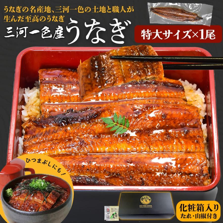 うなぎ 三河産 たれ 特大サイズ 1尾 国産 ウナギ 鰻 蒲焼き