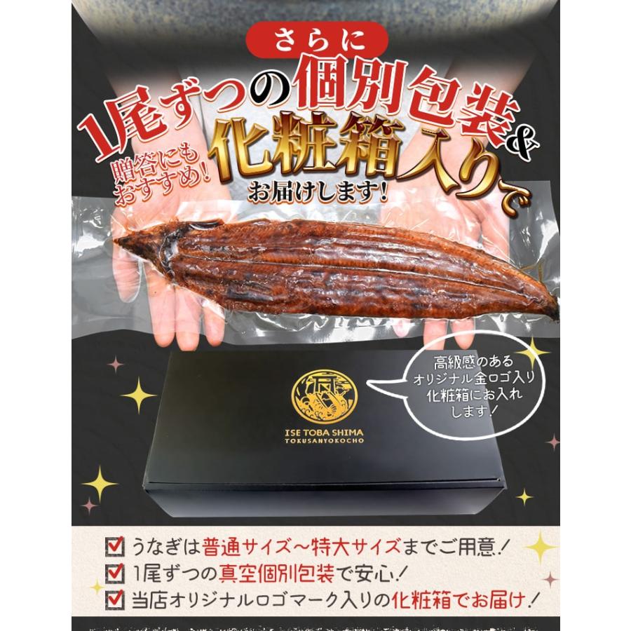 うなぎ 三河産 たれ 超特大サイズ 3尾 国産 ウナギ 鰻 蒲焼き 丑の日