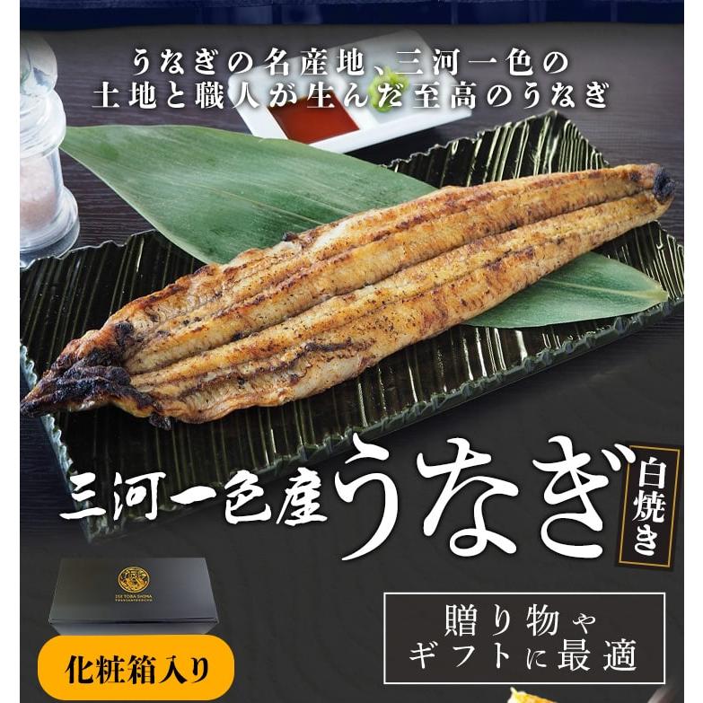うなぎ 三河産 白焼き 超特大サイズ 2尾 国産 ウナギ 鰻 蒲焼き