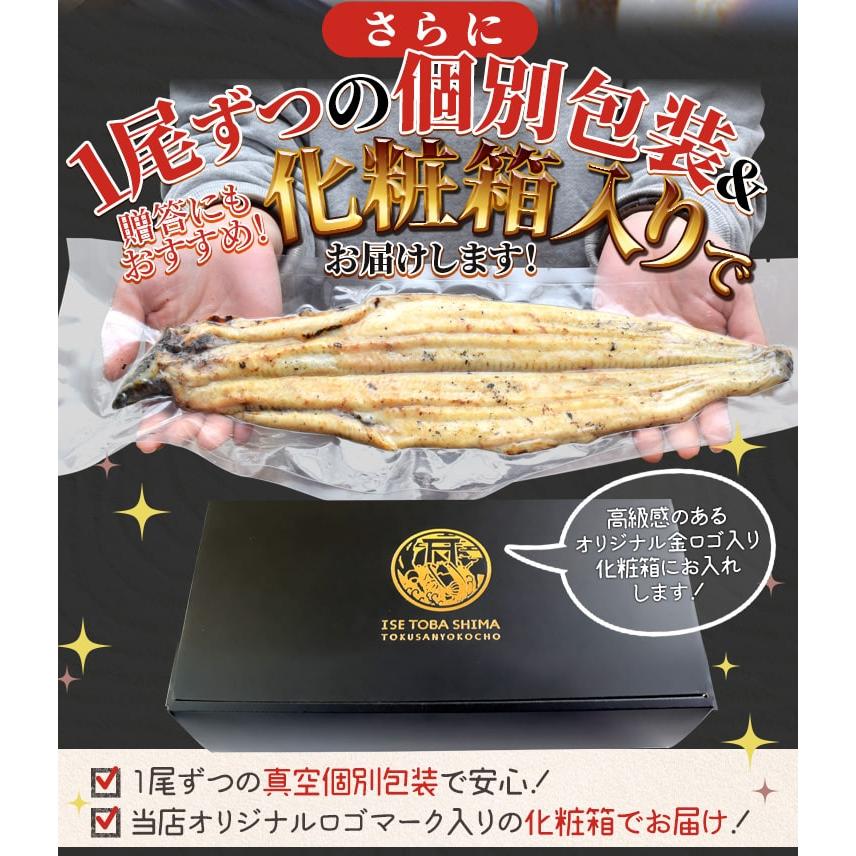 三河一色産】通常サイズ120g -140g 新仔鰻 6尾セット 国産うなぎ