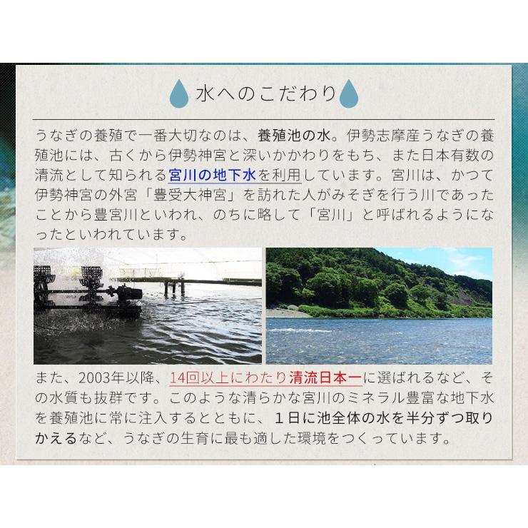 うなぎ セット 伊勢志摩産 大サイズ４尾（たれ２尾 白焼き２尾） たれ付 送料無料 国産 ウナギ 鰻 蒲焼き 丑の日 個包装 冷凍 化粧箱入 プレゼント ギフト_4