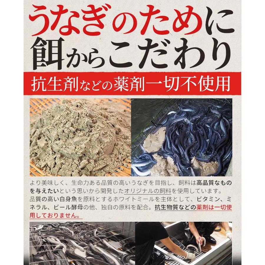 うなぎ セット 伊勢志摩産 大サイズ４尾（たれ２尾 白焼き２尾） たれ付 送料無料 国産 ウナギ 鰻 蒲焼き 丑の日 個包装 冷凍 化粧箱入 プレゼント ギフト_5