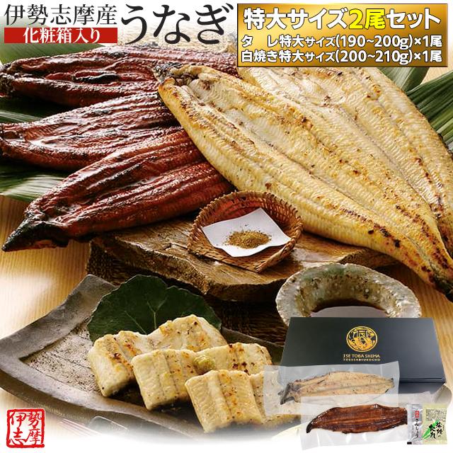うなぎ セット 伊勢志摩産 特大サイズ2尾 たれ1尾 白焼き1尾 たれ付 送料無料 国産 ウナギ 鰻 蒲焼き 丑の日 個包装 冷凍 化粧箱入 プレゼント ギフト 評判 うなぎ セット 伊勢志摩産 特大サイズ2尾 たれ1尾 白焼き1尾 たれ付 送料無料 国産 ウナギ 鰻 蒲焼き 丑の日 個包装 冷凍 化粧箱入 プレゼント ギフト 評判