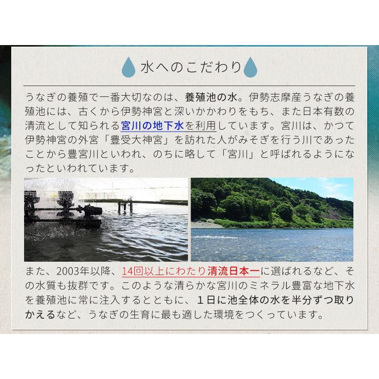 うなぎ セット 伊勢志摩産 ２尾（たれ１尾 白焼き１尾） たれ付 送料無料 国産 ウナギ 鰻 蒲焼き 丑の日 個包装 冷凍 化粧箱入 母の日 ギフト｜isesima｜05