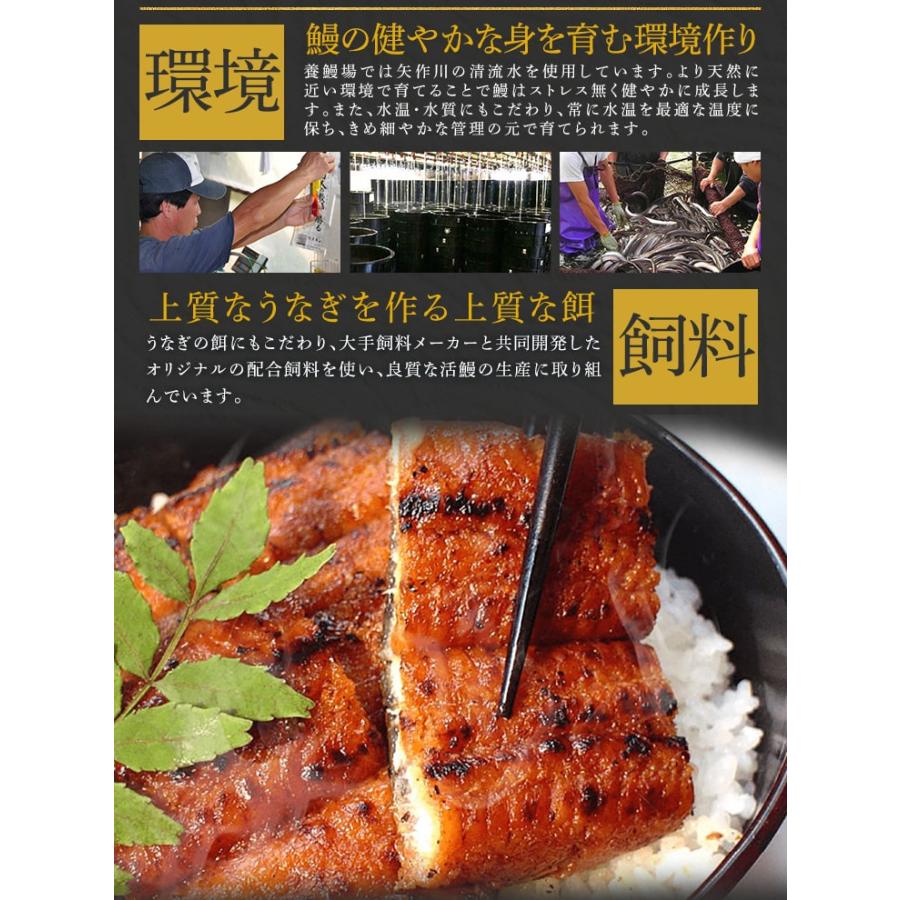 うなぎ 三河産 たれ 白焼き 3尾セット（たれ大2尾 白焼き超特大1尾