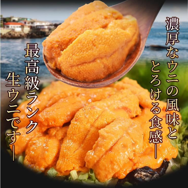 うに 100g×2 天然冷凍生ウニ 刺身雲丹 ミョウバン不使用 無 うに 100g×2 天然冷凍生ウニ 刺身雲丹 ミョウバン不使用 無