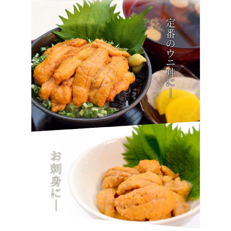 うに 100g×2 天然冷凍生ウニ 刺身雲丹 ミョウバン不使用 無 うに 100g×2 天然冷凍生ウニ 刺身雲丹 ミョウバン不使用 無
