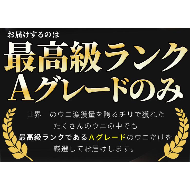 うに １００ｇ×４ 天然冷凍生ウニ 刺身雲丹 ミョウバン不使用 無添加 最高級グレードの雲丹 海鮮丼｜isesima｜03