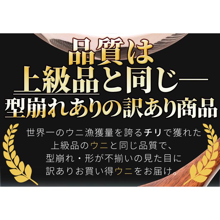 うに 不揃い １００ｇ×１ ウニ お買得品 天然 冷凍 生 刺身 雲丹 ミョウバン不使用 無添加 海鮮丼 | ブランド登録なし | 02