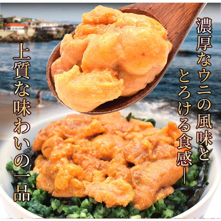 うに 不揃い １００ｇ×１ ウニ お買得品 天然 冷凍 生 刺身 雲丹 ミョウバン不使用 無添加 海鮮丼 | ブランド登録なし | 03