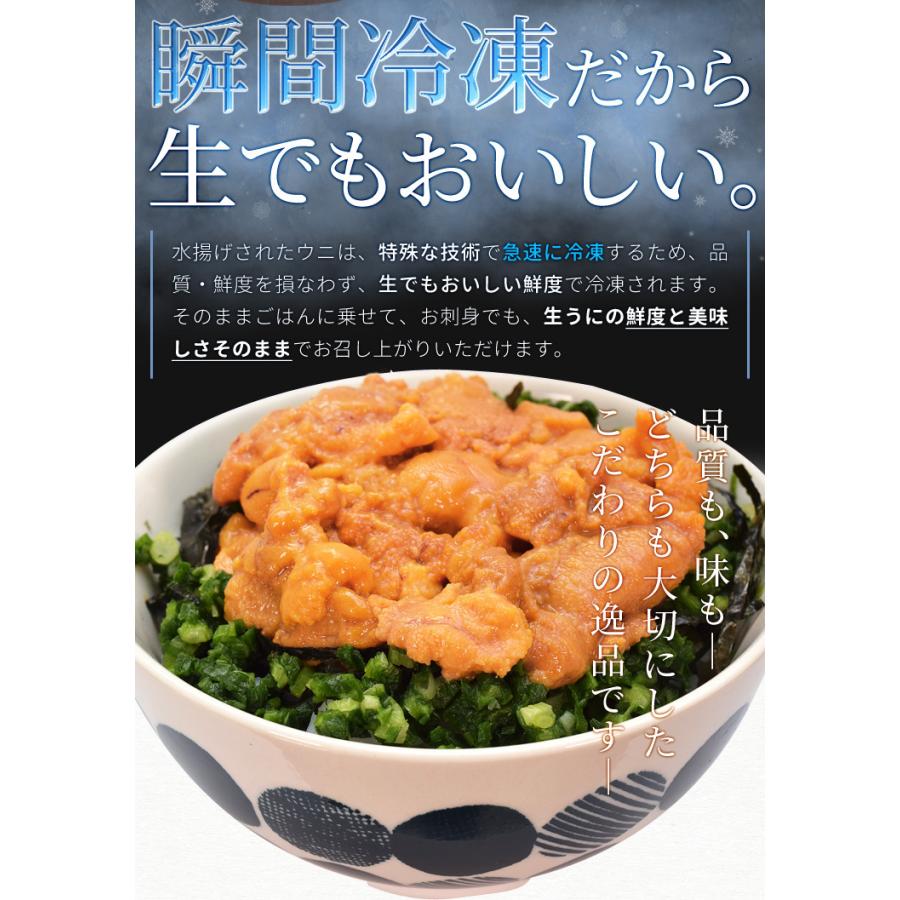 うに 不揃い １００ｇ×３ ウニ お買得品 天然 冷凍 生 刺身 雲丹 ミョウバン不使用 無添加 海鮮丼 | ブランド登録なし | 05