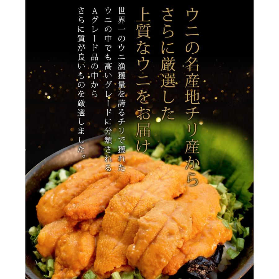 うに 天然 生 ウニ 特選品 ＳＳグレード １００ｇ 冷凍 刺身 雲丹 無添加 海鮮丼 お年賀 ギフト | ブランド登録なし | 03