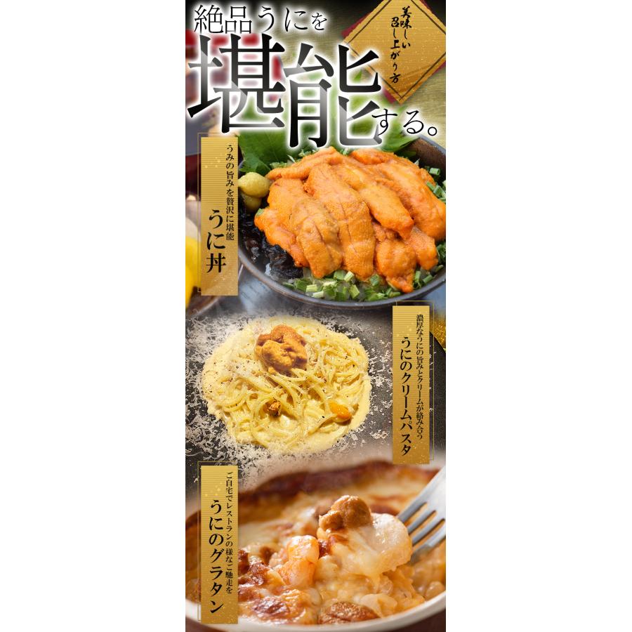 うに 天然 生 ウニ 特選品 ＳＳグレード ２００ｇ（１００ｇ×２パック） 冷凍 刺身 雲丹 無添加 海鮮丼 寒中見舞い ギフト | ブランド登録なし | 08