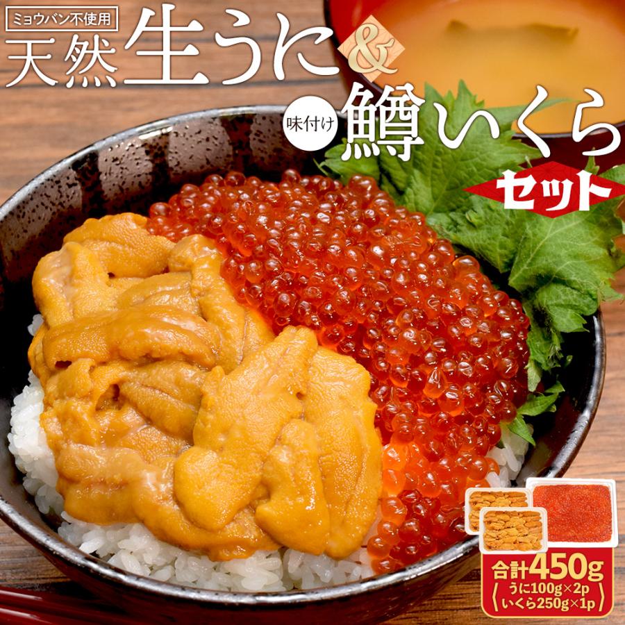 うに いくら セット 天然生うに 200g（100g×2個） 醤油漬け