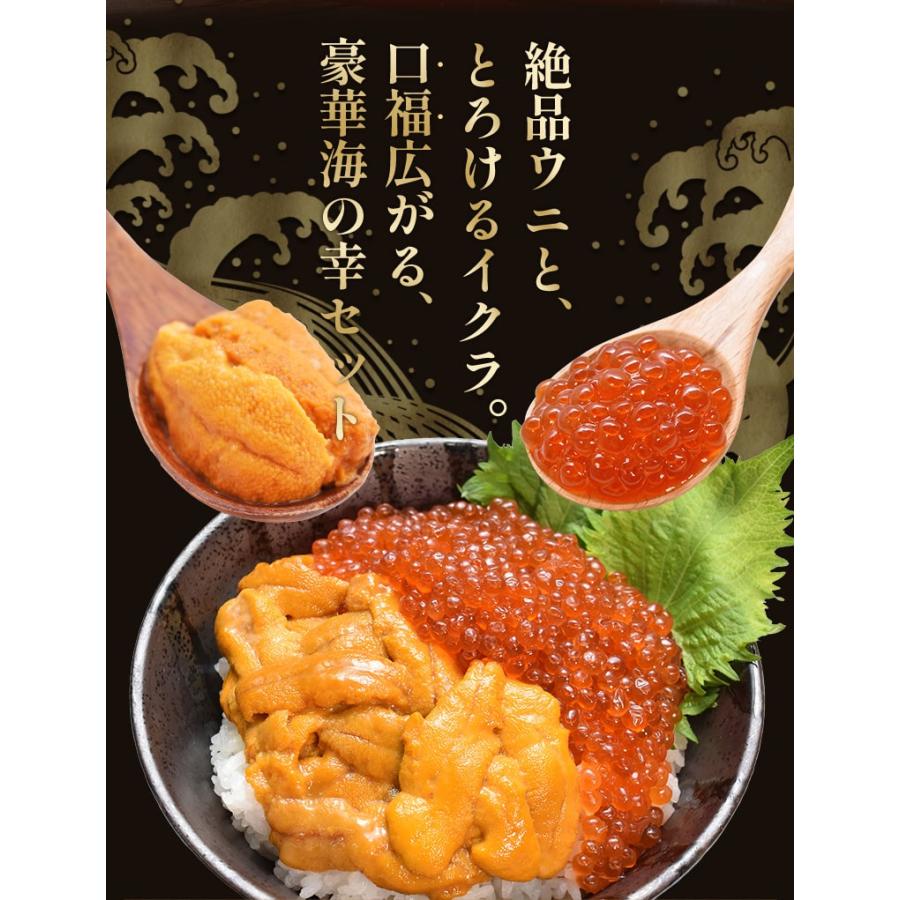 うに いくら セット 天然生うに 200g（100g×2個） 醤油漬け