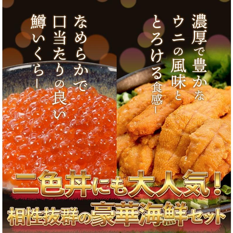 うに いくら セット 天然生うに 200g（100g×2個） 醤油漬け